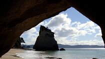 Ex Auckland: Cathedral Cove & Coromandel Private Day Tour