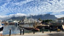 Cape Town and Peninsula Experience Table Mountain