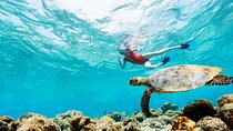  Blue Lagoon Beach Snorkeling Experience in East Bali