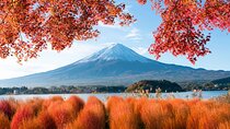 Mt. Fuji Highlight Photo Spots One Day Tour from Tokyo
