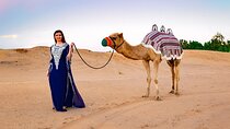 Dubai Red Dune Desert Safari BBQ Dinner, Camel Ride & Live Shows