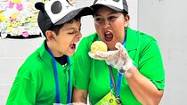 Panda Volunteer Day at Dujiangyan Base or Wolong Base
