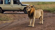 Half Day Nairobi National Park Tour