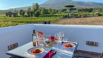 Naples to Bari One-way Transfer with Pompeii and Wine Tour