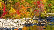 Boston to White Mountains, Lost River Gorge Fall Foliage Day Trip