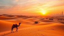 Dubai Desert Adventure Dune Safari Camel Ride BBQ & Stargazing