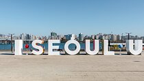  Private Luxury Chauffeured Tour in Seoul