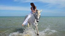 Horse Riding 3 Hours Adventure Desert, Beach & Sea Swim -El Gouna