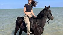 Experience Horse Riding in Nabq with Transfer - Sharm El Sheikh