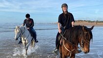 3-Hour Horse Riding Adventure in the Desert and Sea - El Gouna