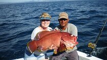 Private Overnight Fishing Trip with Equipment & Dinner -El Gouna 