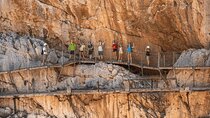 Caminito del Rey Adventure Day Tour from Málaga