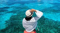 Isla Mujeres Catamaran Tour with Snorkeling, Open Bar and Buffet