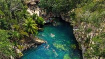 Cenotes house turtles basic entry