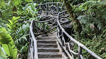 Private La Paz Waterfall Gardens & Starbucks Alsacia Coffee Tour