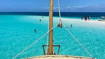 Private Half Day Dolphins and Snorkeling in Mnemba