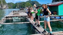 Hanoi: Cat Ba Island 2-Day with Night Kayak, Trekking & Biking