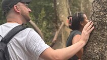 Discover Shai Hills Nature, History and Adventure