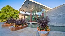 Private Auckland Full Day Tour 