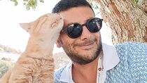 For Cruisers: Garfield & Cats of Ephesus Tour with LUNCH