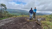 12 Hours Private Munnar Tour from Kochi