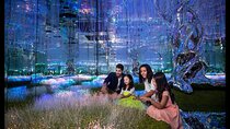 Dubai Private Tour: Aya, Frame, Miracle Garden & Global Village