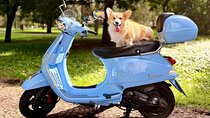 Local Vespa Rental in Prague with GPS Routes & Tips