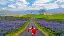 Iceland from Reykjavik Snaefellsnes Peninsula Day Tour Chinese