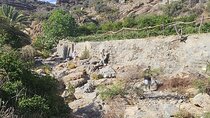 Discover Nizwa and Jabel Akhdar Mountain 
