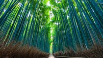 Private Customized Tour of Kyoto with English Guide