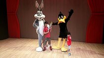 Hollywood Magic at Warner Bros Abu Dhabi