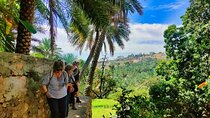 Muscat to Misfat Al Abreyeen Private 4WD Day Trip Experience