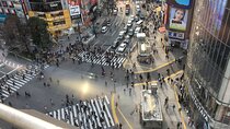 6-Hour-Tour Tokyo Highlights