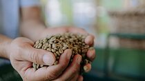 Coffee Methods Workshop