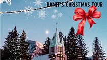 Banff's Winter Wonderland Food Tour