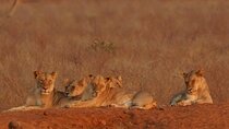 5 Days Private Jeep Safari to Kenya 