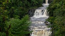 Umauma Triple Tier Waterfall Rappel and River Tour