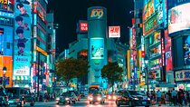 Private Tailored Tour with Local Guide in Tokyo