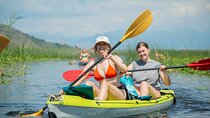 Skadar Lake Individual Kayaking Hidden Canals and Swimming 