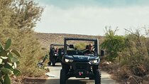 Shared Sunset UTV Tour Gozo Combi