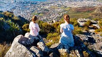 From CapeTown:TableMountain,Penguins &Wine Testing in Constantia 