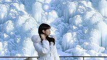 Seoul Winter Tour: Strawberry Picking, Gamaksan & Hanok Village