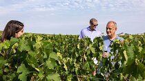 Saint-Emilion Winery Morning Tour with Local Guide