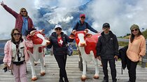 4 Days Swiss Alps Tour Zermatt, Jungfrau Region and Hidden Gems