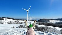 Balwangsan Cable Car & Samyang Ranch One Day Tour From Seoul