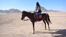 2 Hours Horseback Ride in the Desert W/Transfer – Sharm El Sheikh
