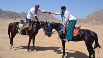 Desert Horse Riding Trip with Transfer - Sharm El Sheikh