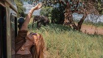 3 Days Serengeti & Ngorongoro Group Camping Big Five Safari