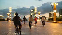 Tokyo Bay Sunset and Night View for 3h E-bike Guided Tour