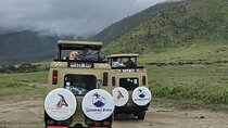 5 Day Fly In Safari Serengeti Migration